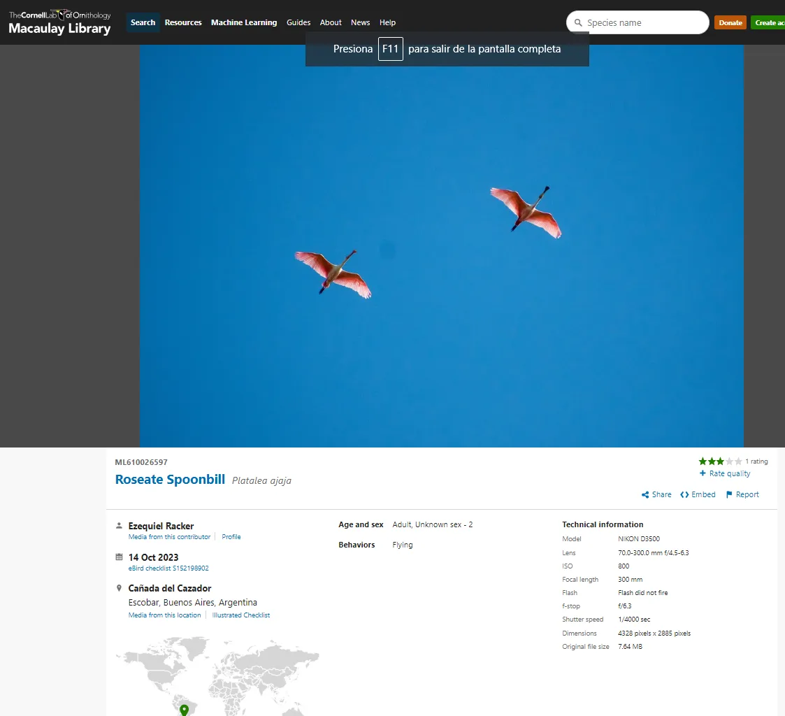 ambientalistas-autoconvocados